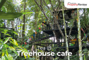 Tea @Treehouse cafe